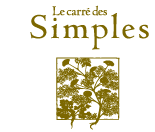 Le carre des Simples | ル キャレ デ サンプル